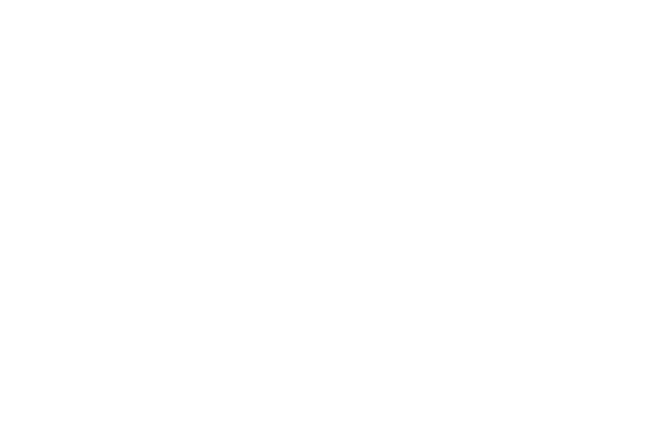 Logo for CEO Action For Racial Equity