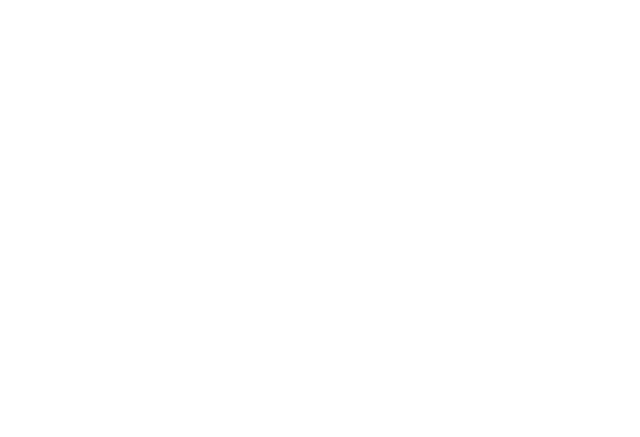Logo for the National Minority Supplier Development Council
